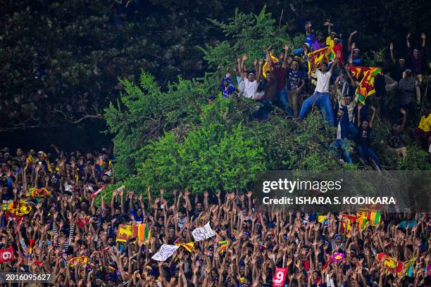 දඹුල්ලේ ගස් උඩ නැග මැච් බැලීම තහනම් කරයි!-Climbing trees to watch matches banned in Dambulla!