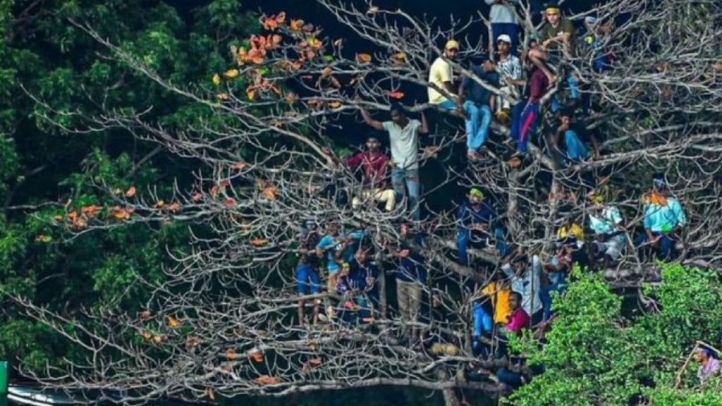 දඹුල්ලේ ගස් උඩ නැග මැච් බැලීම තහනම් කරයි!-Climbing trees to watch matches banned in Dambulla!